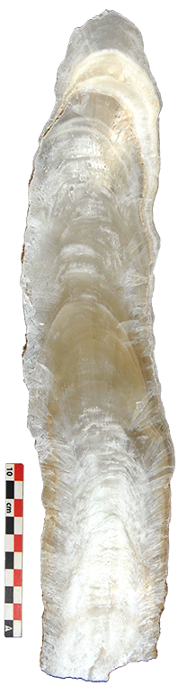 Estalagmita_paleoclima
