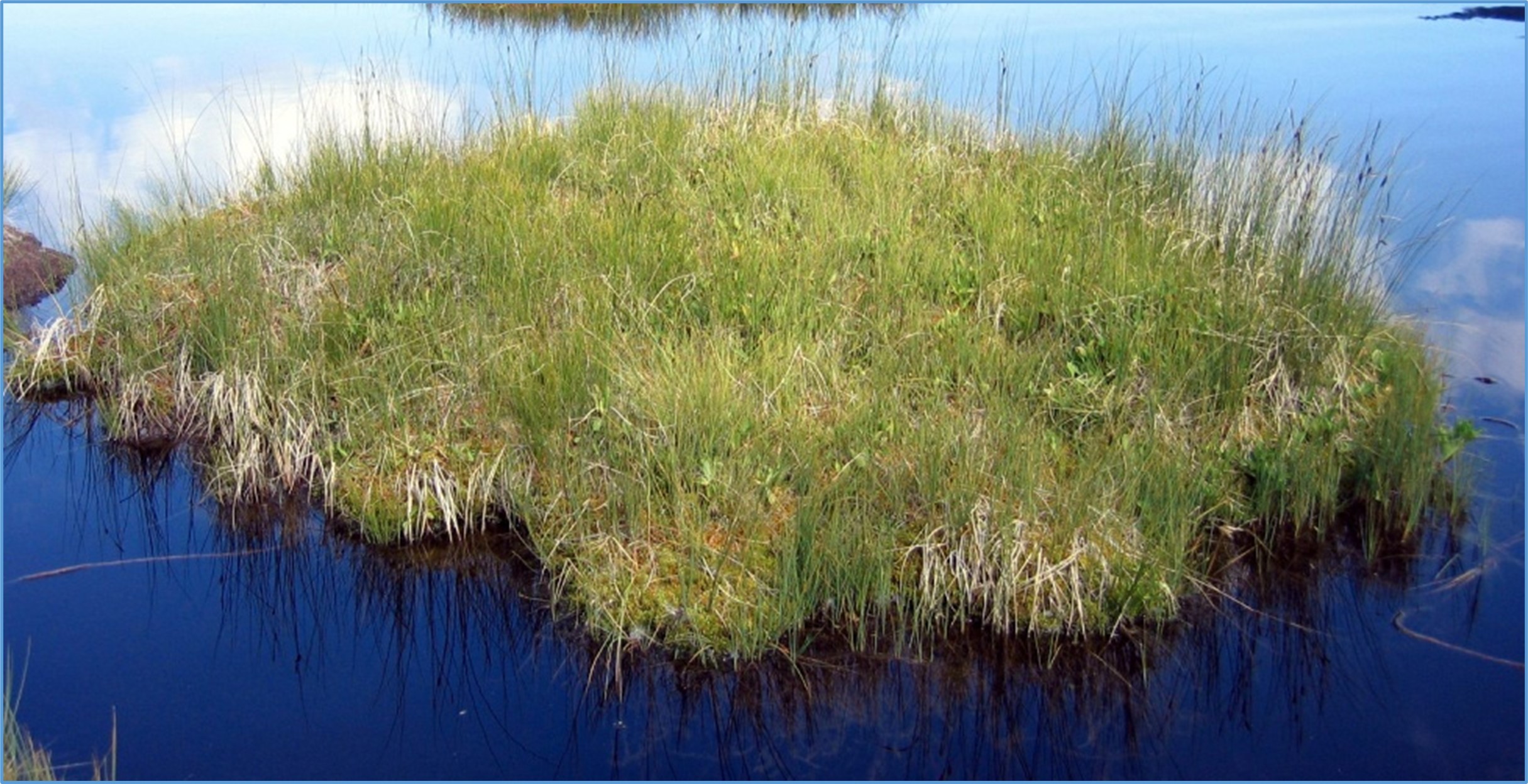 tremedal